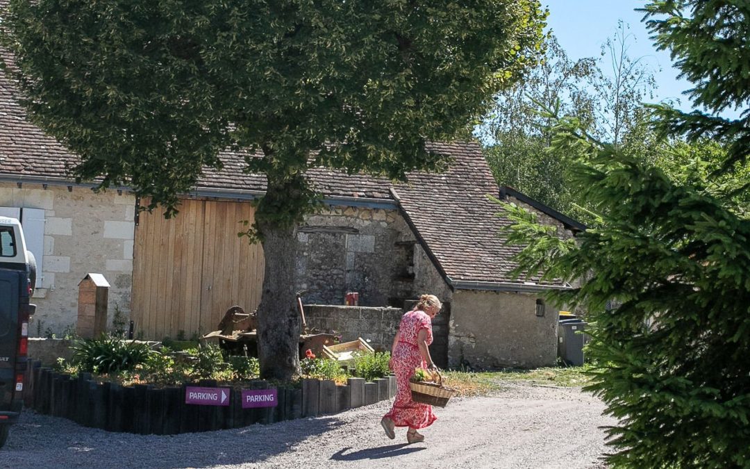 Gîte “La Ferme dans le panier” (Luzillé)